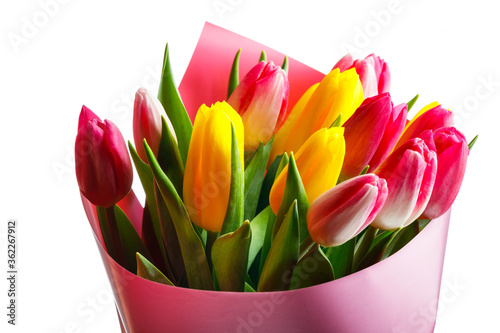 tulip flowers bouquet, close-up view, isolated on white