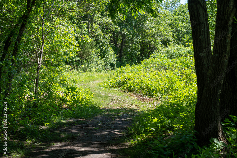 Trail through Minneopa State Park in Mankato, Minnesota on a late spring day. Grass covered trail Trail through Minneopa State Park in Mankato, Minnesota on a late spring day. Grass covered trail