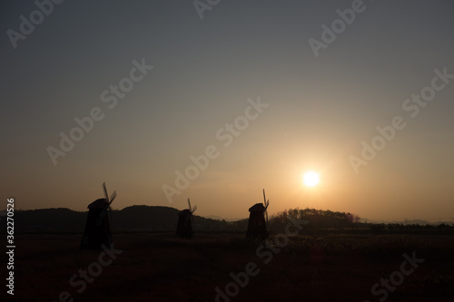 Morning landscape with three windmill