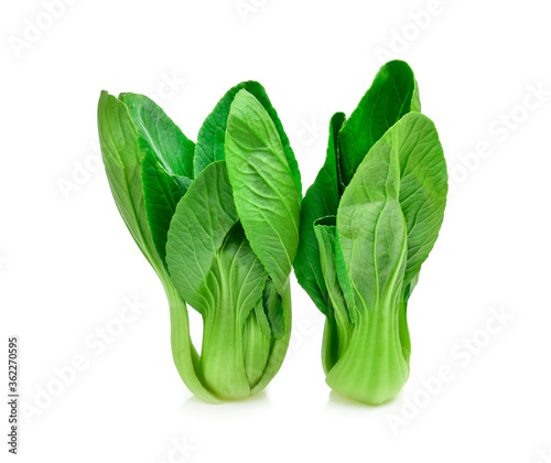 Chinese cabbage on white background