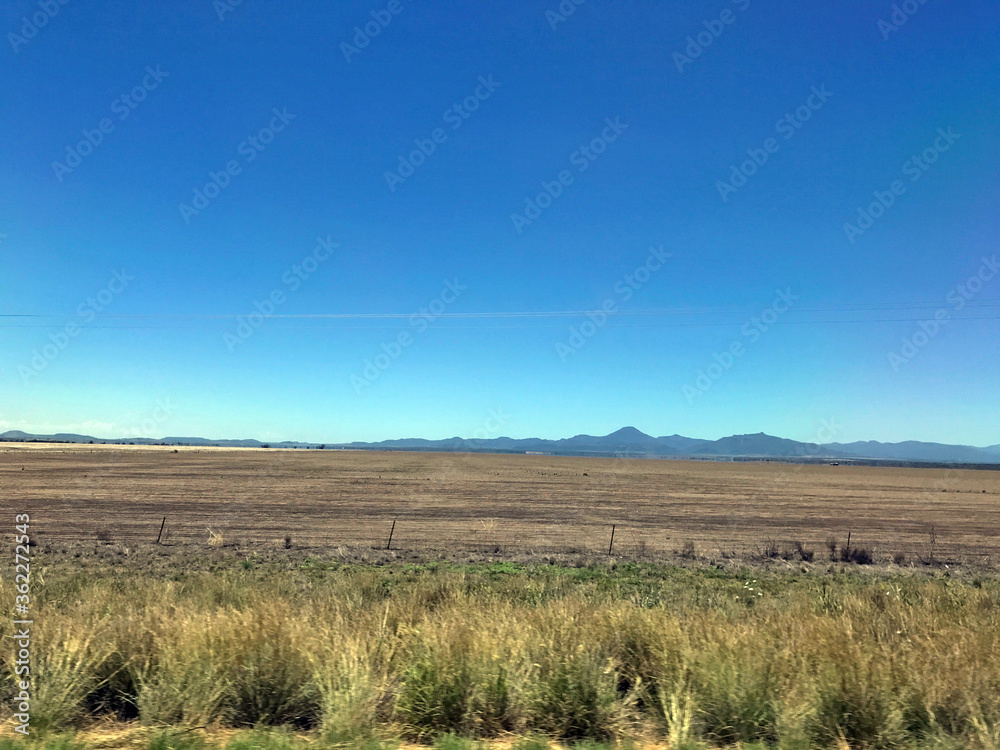 The road trip from Brisbane, Queensland to Melbourne Victoria, showcasing open paddocks, sunshine and blue sky with trees