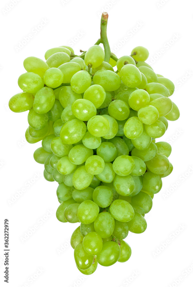 Green grape isolated on white background Green grape isolated on white background