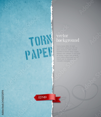 vector torn paper background