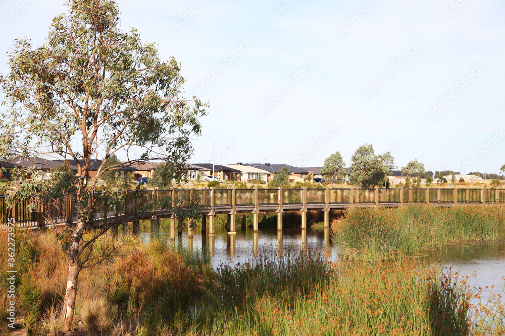 Obraz premium Housing estate located in Clyde North, near Berwick, Victoria featuring lake surrounded by plants and walking tracks. The future of urban housing and green space
