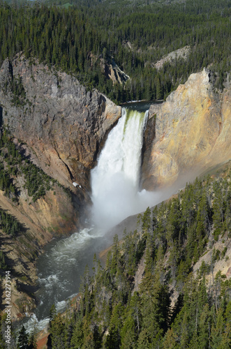 Late Spring in Yellowstone National Park: Lower Yellowstone Falls and the Grand Canyon of the Yellowstone River Seen from Lookout Point