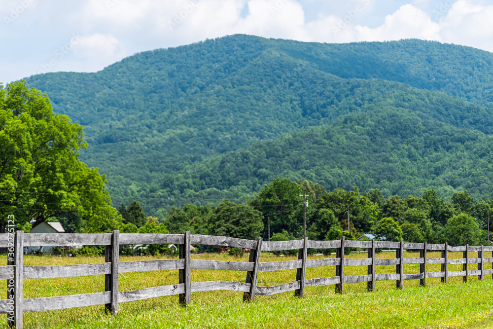 Farm road fence path in Roseland, Virginia near Blue Ridge parkway mountains in summer with idyllic rural landscape countryside in Nelson County