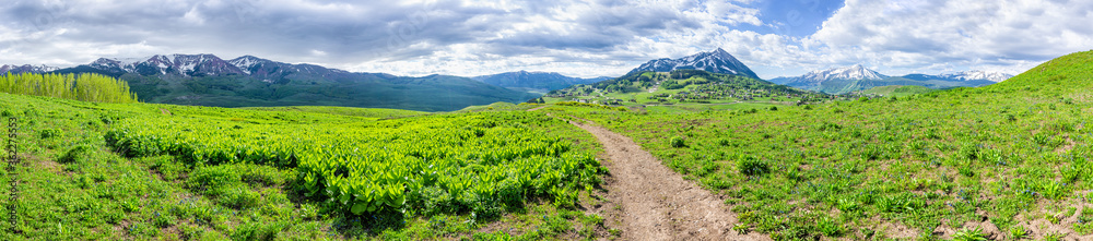 Crested Butte, Colorado Snodgrass hiking trail footpath in summer with path leading to mountain and town village panorama wide view with lush green plants wildflowers Crested Butte, Colorado Snodgrass hiking trail footpath in summer with path leading to mountain and town village panorama wide view with lush green plants wildflowers