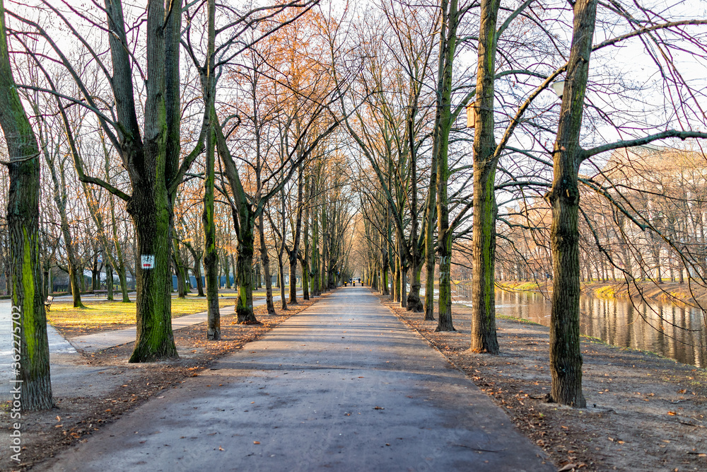 Warsaw, Poland - December 20, 2019: Warszawa Lazienki or Royal Baths Park with tree alley at sunset and nobody by water river - obrazy, fototapety, plakaty 