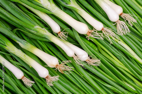 Background green onion leaves.