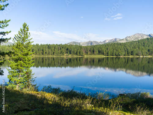 Lake in the forest. Trees are reflected in clear calm water. Wildlife landscape
