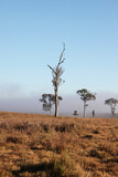 Fantastic views of the Gold Coast Hinterland at dawn with paddocks, trees and mist