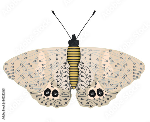 Cream / beige abstract butterfly / moth circuit image