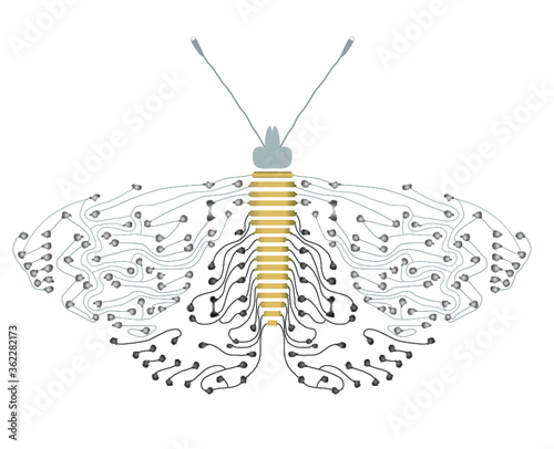 Grey / Silver / Black abstract butterfly / moth circuit image