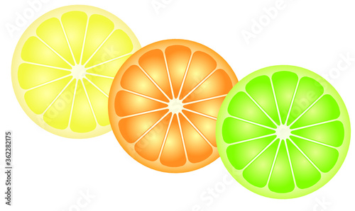 Citrus Fruit Vector (lemon, orange and lime)