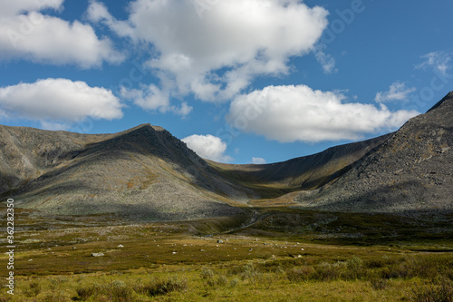 Mountain landscape  large panorama  Subpolar Urals. Beautiful landscape. The concept of outdoor activities and tourism.