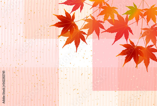  紅葉　もみじ　秋　背景