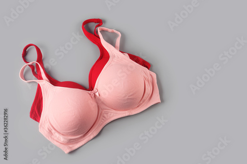 Woman's Bra Isolated on Gray Background 
