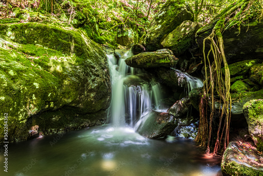 small waterfall in the forest small waterfall in the forest