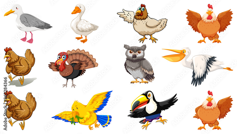 Fototapeta premium Set of different birds cartoon style isolated on white background