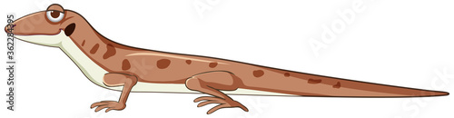 Gecko or lizard in brown cartoon style isolated