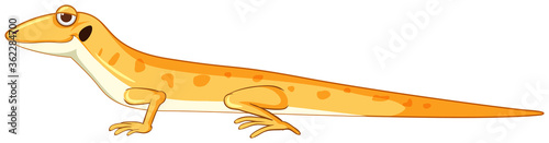 Gecko or lizard in yellow cartoon style isolated