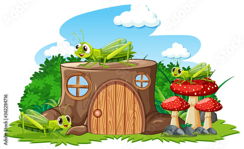 Stump house with grasshoper cartoon style on white background photo