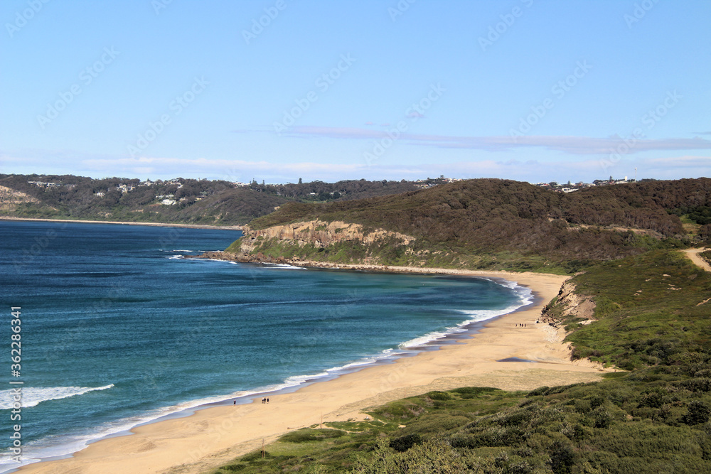 Burwood Beach with Australian Bush Growing Down to the Sand