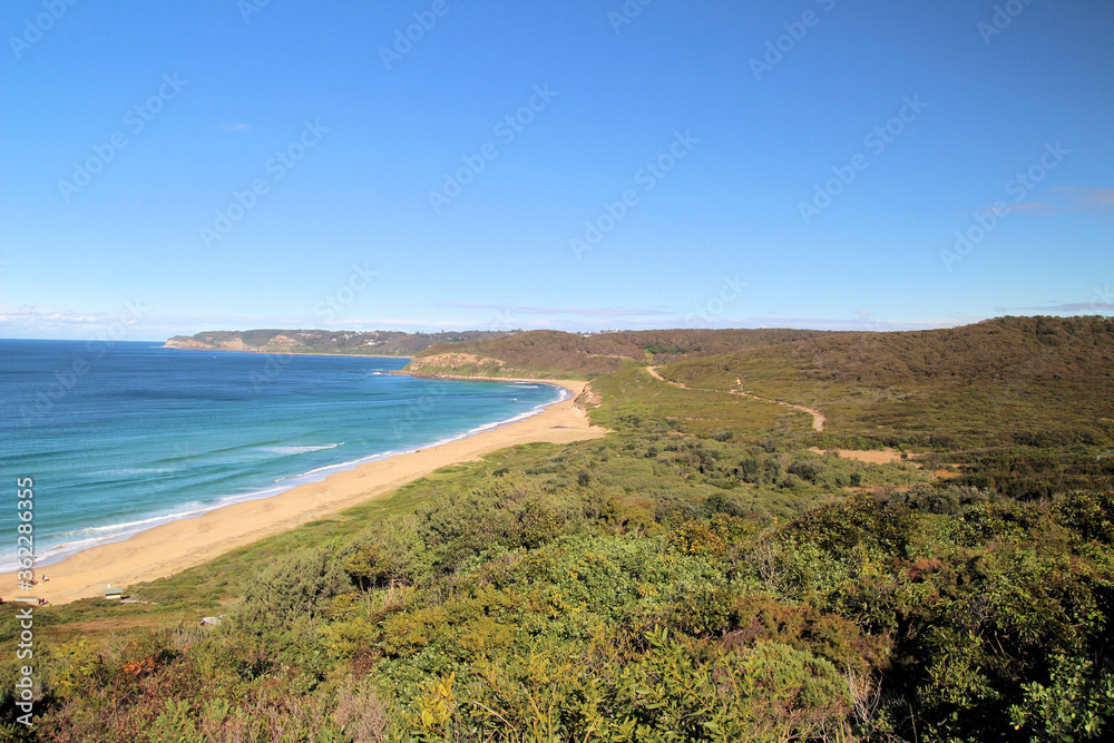 Burwood Beach with Australian Bush Growing Down to the Sand Burwood Beach with Australian Bush Growing Down to the Sand