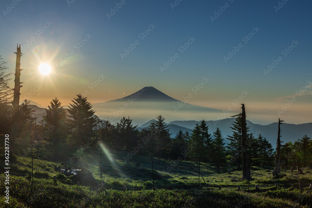Obraz premium 静岡市山伏岳富士山日の出