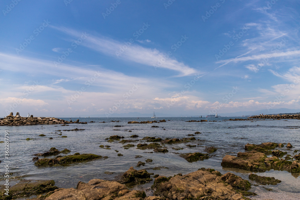 三浦半島 夏空の海岸から青空と海