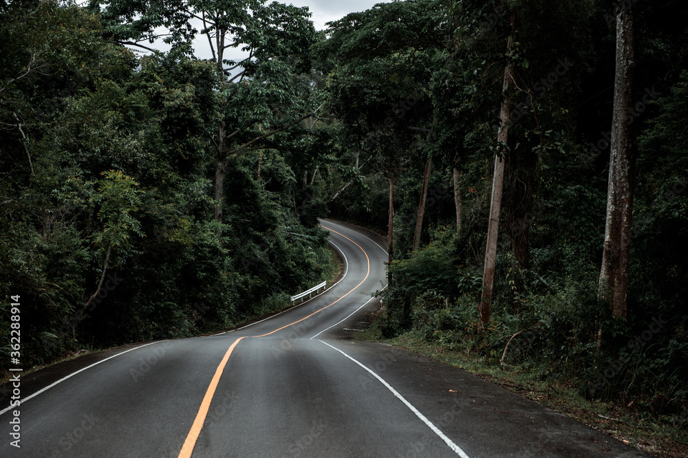 Obraz premium highway in the Thailand Jungle