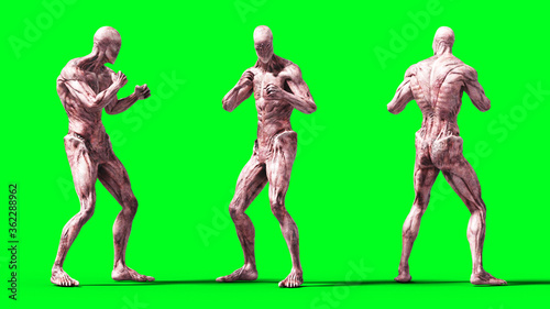 Scary monster isolate on green screen. 3d rendering. © 3D motion