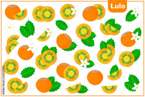 Set of vector cartoon illustrations with Lulo exotic fruits, flowers and leaves isolated on white background photo
