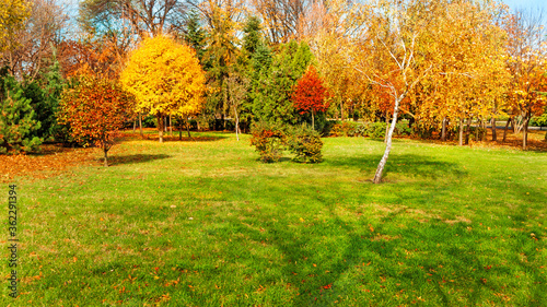 autumn trees at backyard and garden