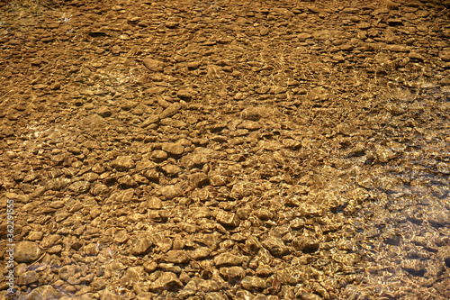clear water in the stream