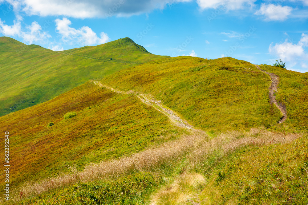 Naklejka premium trail uphill through mountain range. grass on the hills and slopes. summer landscape on a sunny day.