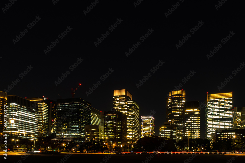 Dark skyline of Tokyo city at night with illuminated buildings seen from Imperial Palace Gardens, low horizon, empty space for caption. Dark skyline of Tokyo city at night with illuminated buildings seen from Imperial Palace Gardens, low horizon, empty space for caption.