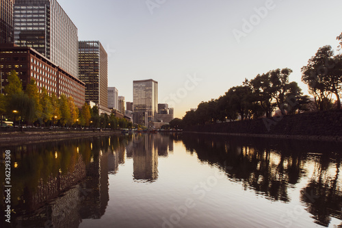Warm Tokyo skyline and trees with reflections in still water after sunset seen from Imperial Palace Gardens.