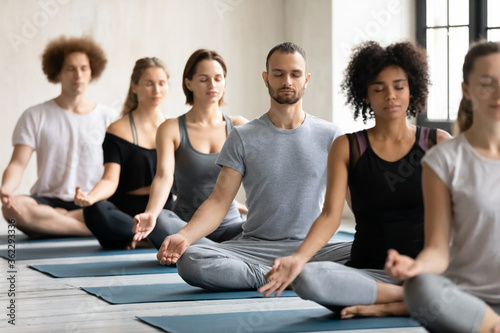 Young fit multiracial people in sportswear sitting in row on floor mat in lotus padmasana position, meditating with closed eyes and folded in mudra gesture fingers on knees at yoga group training.