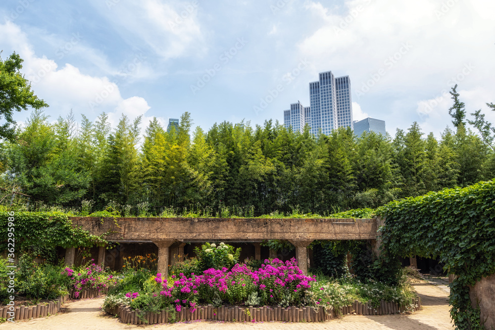 Fototapeta premium Seoul forest gallery garden