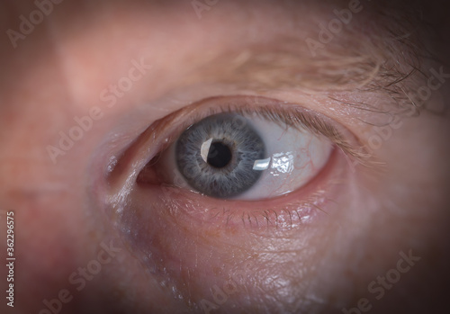 human eye close-up, pupil, cornea