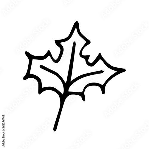 autumn leaf in doodle