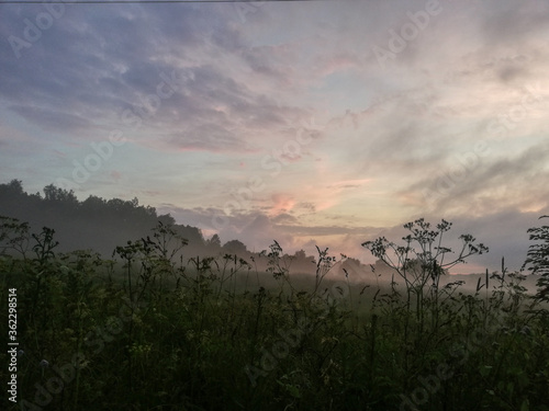 Fog at sunset
