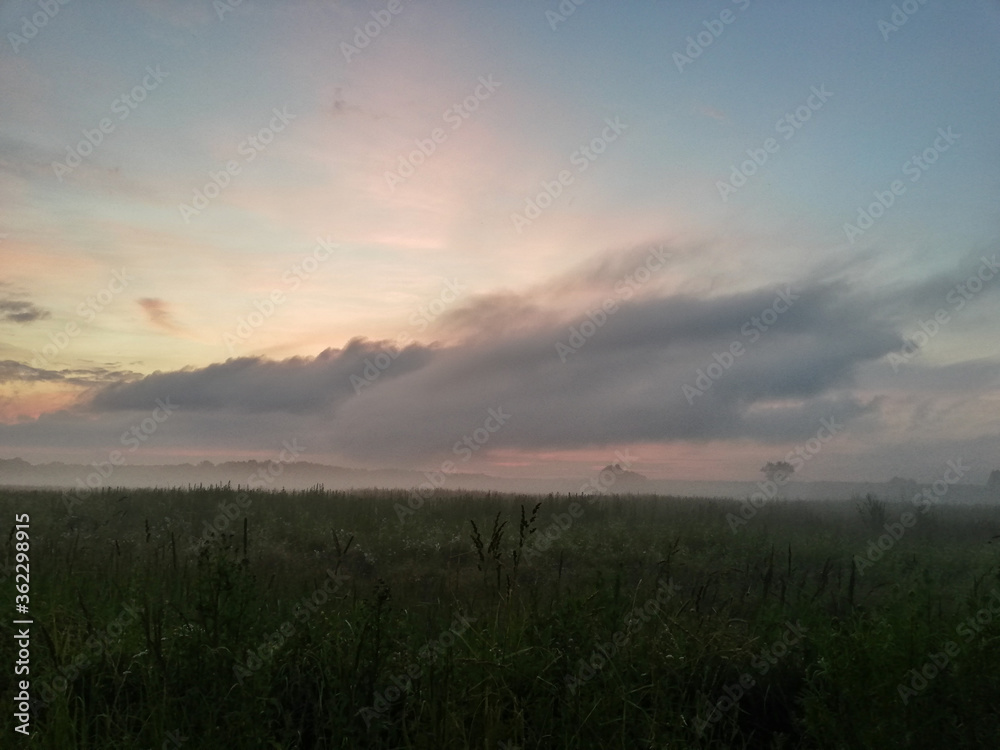 Sunset in the field, fog
