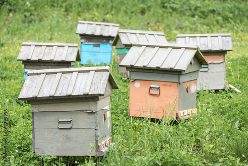 Wooden houses for breeding bees in apiary in mountains.
