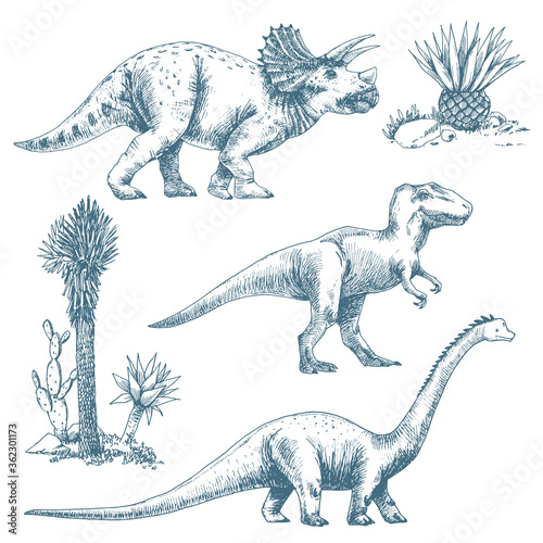 Fototapeta Naklejka Na Ścianę i Meble -  Beautiful set with cute vector dinosaur illustrations.