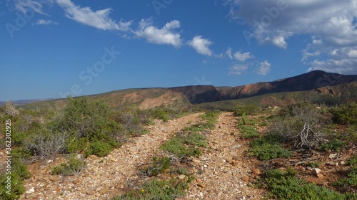 Country Dirt Track in the Little Karoo