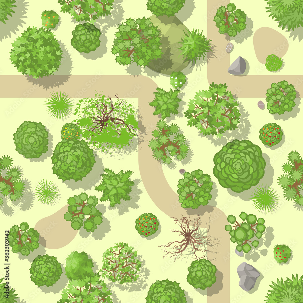 Seamless pattern. Forest top view. Various trees and plants. View from above. Seamless pattern. Forest top view. Various trees and plants. View from above.