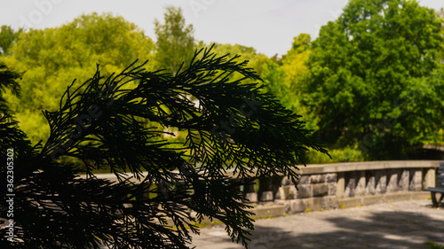 Beautiful views in the Silesian park in Chorzów. Ready for entry.