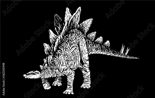 Graphical stegosaurus isolated on black background,vector engraved illustration